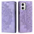 For Motorola Moto G73 Totem Embossed Magnetic Leather Phone Case(Purple) - 1