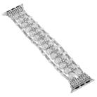 For Apple Watch SE 2023 44mm Beaded Diamond Bracelet Watch Band(White) - 2