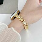 For Apple Watch Ultra 2 49mm Metal Diamond Bear Chain Watch Band(Gold) - 2