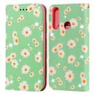 For Huawei Y6P (2020) Glittering Daisy Magnetic Horizontal Flip Leather Case with Holder & Card Slots & Photo Frame(Green) - 1