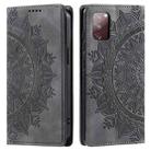For Samsung Galaxy S20 FE 4G / 5G Totem Embossed Magnetic Leather Phone Case(Grey) - 1