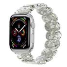 For Apple Watch SE 2023 44mm Stretch Rope Resin Watch Band(Earth Cracks) - 1