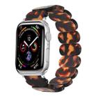 For Apple Watch SE 2023 44mm Stretch Rope Resin Watch Band(Tortoiseshell) - 1