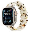 For Apple Watch Ultra 2 49mm Stretch Rope Resin Watch Band(Nougat) - 1