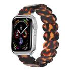 For Apple Watch SE 2022 44mm Stretch Rope Resin Watch Band(Tortoiseshell) - 1