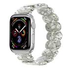 For Apple Watch Series 4 44mm Stretch Rope Resin Watch Band(Earth Cracks) - 1