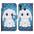 For Huawei P smart 2019 / Honor 10 Lite 3D Painted Pattern Horizontal Flip Leather Case with Holder & Wallet & Card slot & Lanyard(Rabbit) - 1