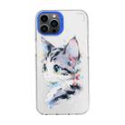 For iPhone 13 Pro Max Cartoon Animal Graffiti PC + TPU Phone Case(White Face Cat) - 1