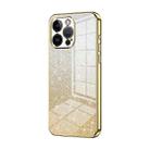 For iPhone 14 Pro Max Gradient Glitter Powder Electroplated Phone Case(Gold) - 1