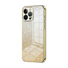 For iPhone 13 Pro Max Gradient Glitter Powder Electroplated Phone Case(Gold) - 1