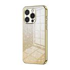 For iPhone 16 Pro Gradient Glitter Powder Electroplated Phone Case(Gold) - 1