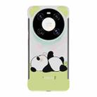 For Huawei Mate 40/Mate 40E Frameless Panda Series TPU Phone Case(Sleeping Panda) - 1