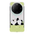 For Huawei Mate 60 RS Ultimate Frameless Panda Series TPU Phone Case(Sleeping Panda) - 1