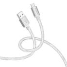hoco BX95 Vivid 2.4A USB to Micro USB Silicone Charging Data Cable(Silver) - 1