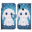 For Samsung Galaxy A40 Colored Drawing Pattern Horizontal Flip Leather Case with Holder & Card Slots & Wallet(Rabbit) - 1