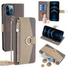 For iPhone 12 Pro Max Crossbody Litchi Texture Leather Phone Case(Grey) - 1