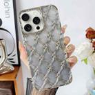 For iPhone 15 Pro Star Flower Electroplated TPU Phone Case with Gradient Glitter Paper(Silver) - 1