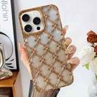 For iPhone 14 Pro Max Star Flower Electroplated TPU Phone Case with Gradient Glitter Paper(Gold) - 1