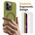 For iPhone 16 Pro Max Liquid Silicone MagSafe Magnetic Phone Case with Ring Holder(Willow Green) - 2