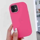 For iPhone 11 Frosted Soap Shape TPU Phone Case(Rose Red) - 1