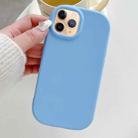 For iPhone 11 Pro Frosted Soap Shape TPU Phone Case(Blue) - 1