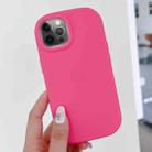 For iPhone 12 Pro Frosted Soap Shape TPU Phone Case(Rose Red) - 1