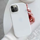 For iPhone 12 Pro Max Frosted Soap Shape TPU Phone Case(White) - 1