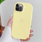 For iPhone 12 Pro Max Frosted Soap Shape TPU Phone Case(Yellow) - 1