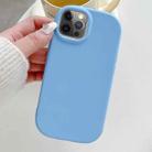 For iPhone 12 Pro Max Frosted Soap Shape TPU Phone Case(Blue) - 1