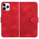 For iPhone 11 Pro YX0060 Elephant Head Embossed Phone Leather Case with Lanyard(Red) - 1