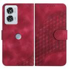 For Motorola Edge 50 Fusion YX0060 Elephant Head Embossed Phone Leather Case with Lanyard(Rose Red) - 1