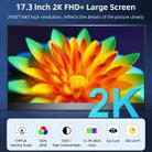 17.3 inch UHD 2560x1440P IPS Screen Portable Monitor(No Charger) - 3