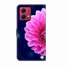For Motorola Moto G84 Crystal 3D Shockproof Protective Leather Phone Case(Pink Petals) - 3