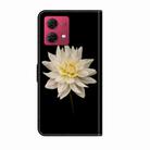 For Motorola Moto G84 Crystal 3D Shockproof Protective Leather Phone Case(White Flower) - 3