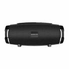 Borofone BR3 Boyun Sports Bluetooth 5.0 Speaker(Black) - 1