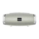 Borofone BR3 Boyun Sports Bluetooth 5.0 Speaker(Grey) - 1