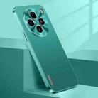For vivo X100 Pro Streamer Series Micro Frosted Metal Paint PC Phone Case(Alpine Green) - 1