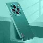 For vivo X100 Streamer Series Micro Frosted Metal Paint PC Phone Case(Alpine Green) - 1