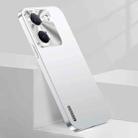 For vivo Y100 Streamer Series Micro Frosted Metal Paint PC Phone Case(Silver) - 1