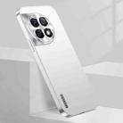 For OnePlus Ace 2 Streamer Series Micro Frosted Metal Paint PC Phone Case(Silver) - 1