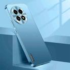 For OnePlus 13 Streamer Series Micro Frosted Metal Paint PC Phone Case(Sierra Blue) - 1