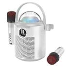 hoco BS59 Pearlescent Wireless Karaoke Bluetooth Speaker with Dual Mic(Grey) - 1