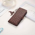 For Honor Magic6 Lite / X50 / X9b Ostrich Pattern Genuine Leather RFID Phone Case(Coffee) - 2