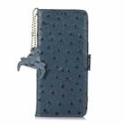 For Honor Play 60 Plus Ostrich Pattern Genuine Leather RFID Phone Case(Blue) - 2