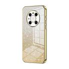 For Huawei Mate 40 Pro Gradient Glitter Powder Electroplated Phone Case(Gold) - 1