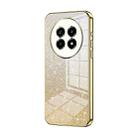 For Realme 13 Pro Gradient Glitter Powder Electroplated Phone Case(Gold) - 1