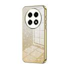 For OPPO A2 Pro Gradient Glitter Powder Electroplated Phone Case(Gold) - 1