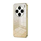 For vivo X100 Gradient Glitter Powder Electroplated Phone Case(Gold) - 1