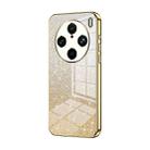 For vivo X100s Pro Gradient Glitter Powder Electroplated Phone Case(Gold) - 1