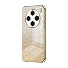 For vivo X100s Gradient Glitter Powder Electroplated Phone Case(Gold) - 1